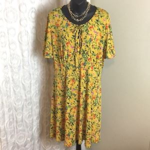 Capsule Dress Sz 1X
